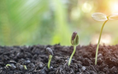 4 Ways To Realize Your Potential