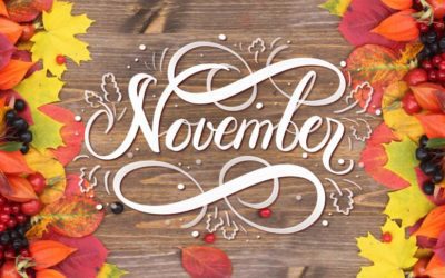 November 2018 Newsletter