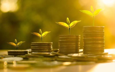 How To Save Money and The Planet