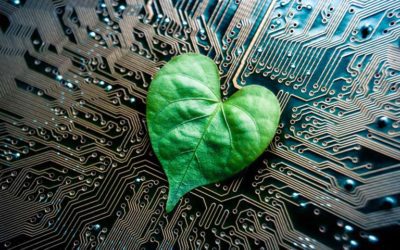 What’s the Deal With Green Web Hosting?