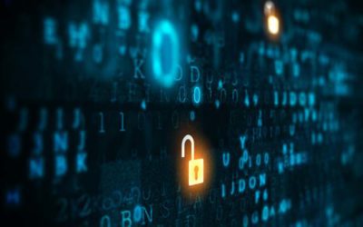 Why Does a Small Business Need Cyber Security?