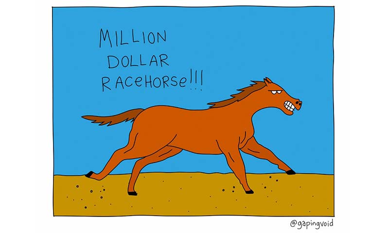 You Are A Million Dollar Racehorse