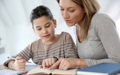 Promoting Entrepreneurial Success in Your Children Through Homeschooling