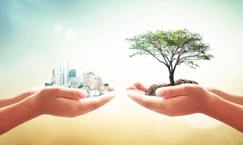 4 Ways Startups Can Champion Sustainability And Thrive