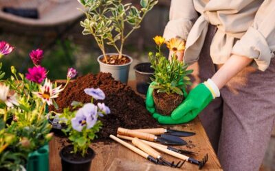 Treat Yourself: 6 Tips for Self-Care