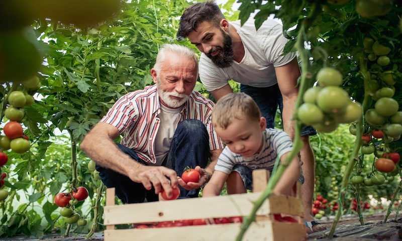 Keeping it in the Family: How to Evolve a Family Business