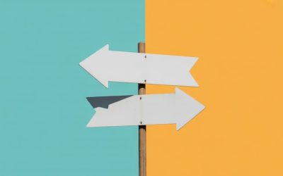 How Changing Direction Saved My Business