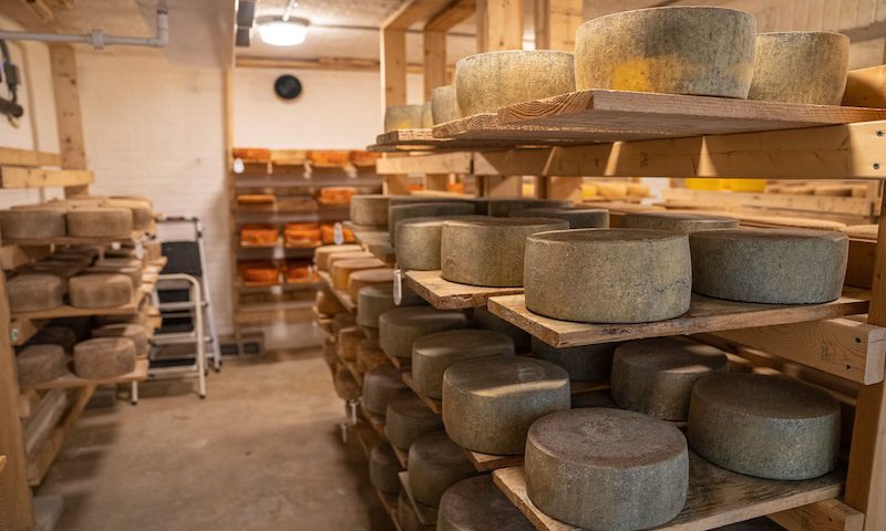 Kraft Started With $65, a Rented Wagon and Cheese That Kept Going Bad